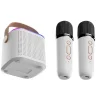 اسپیکر اورجینال بلوتوثی کارائوکه با 2 میکروفن  وایرلس ( قابلیت تغییر صدا و ...) مدل Y1